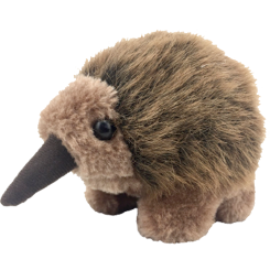 Echidna