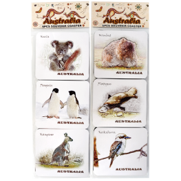 Coaster Foam Pack - Animal Design