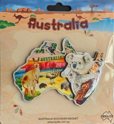 Double Layer Magnet with Koala