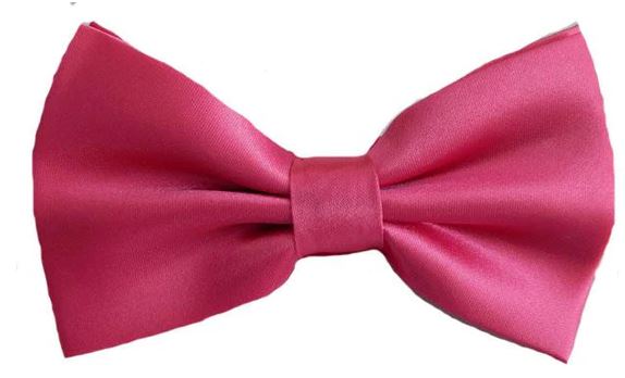 Pink Neon Bow Ties