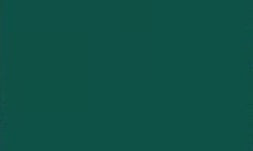 TISSUE PAPER 5PK - GREEN