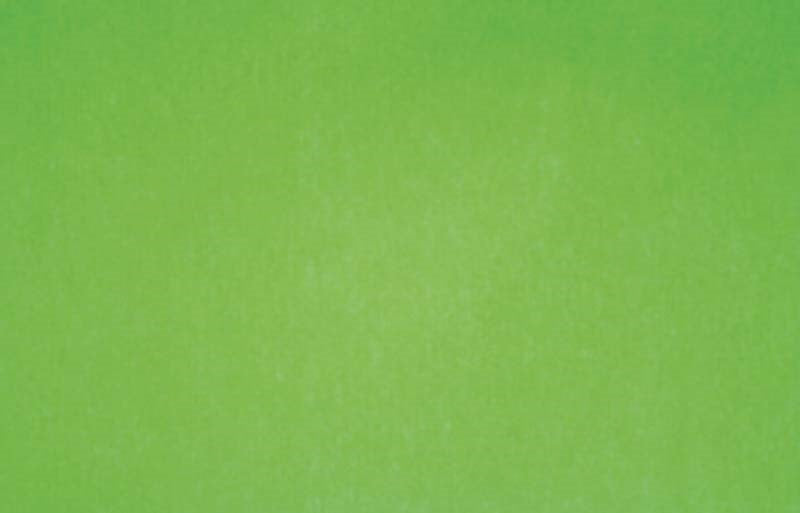 TISSUE PAPER 5PK - LIME GREEN