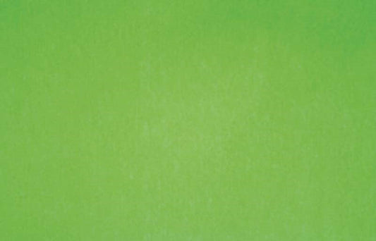 TISSUE PAPER 5PK - LIME GREEN