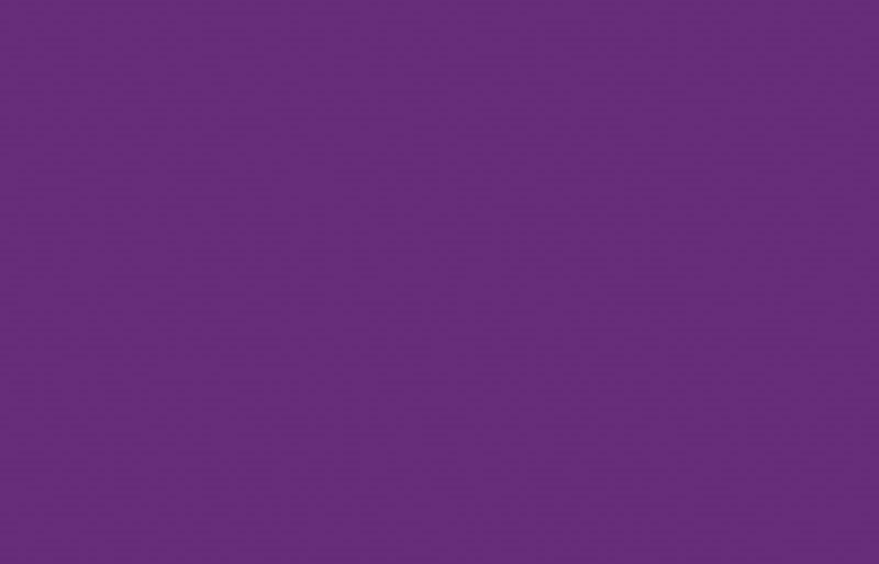 TISSUE PAPER 5PK - PURPLE